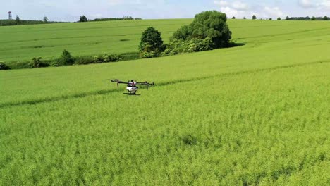 Große-Landwirtschaftliche-Drohne-Dji-Terra-Fliegt-über-Feld---Luftaufnahme