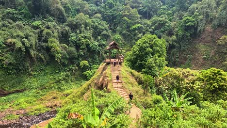 individuals climb a mossy stone staircase toward a small temple pavilion in a lush rainforest, surrounded by dense greenery and soft daylight