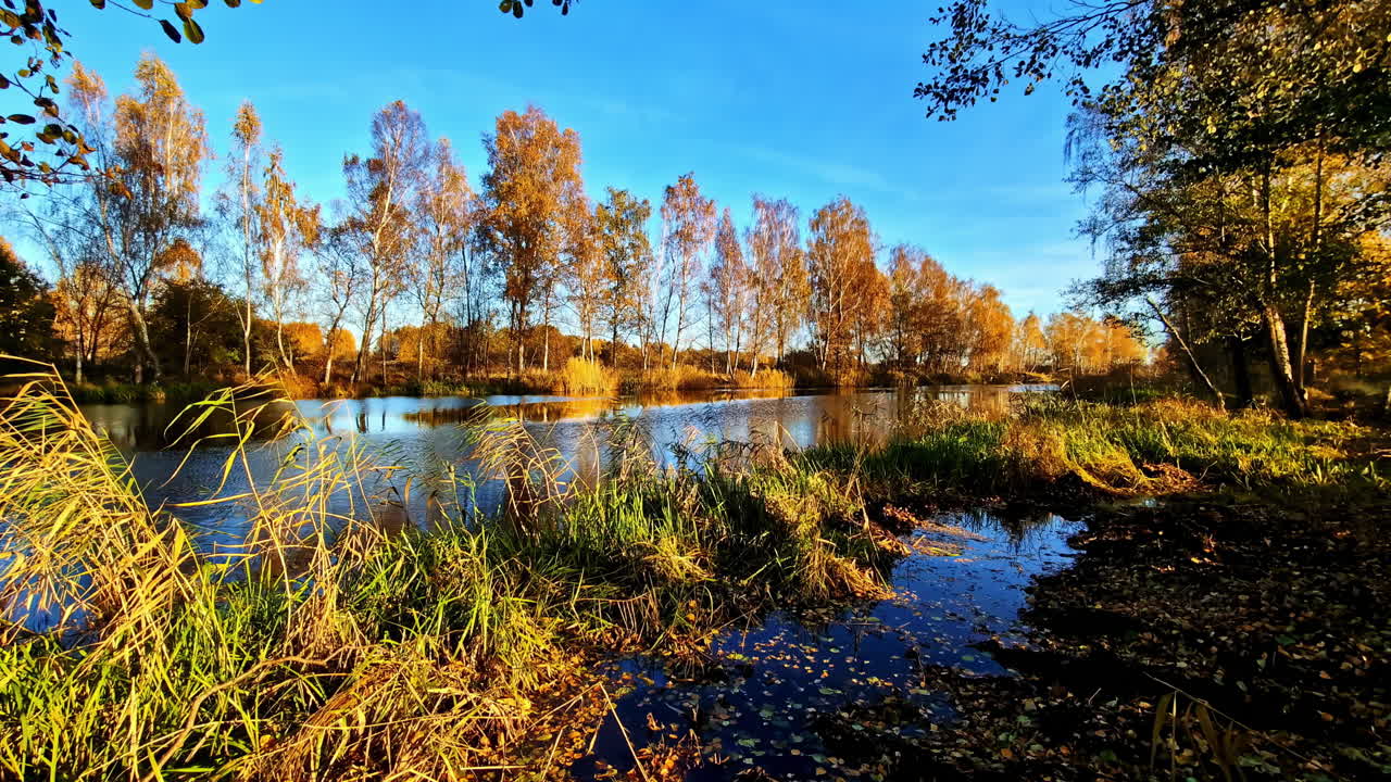Serene autumn landscape by a river in Lielvarde, Latvia