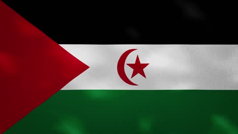 western sahara dense flag fabric wavers, background loop