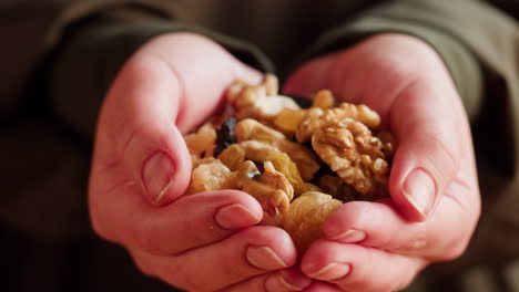 un puñado de nueces mezcladas y frutas secas