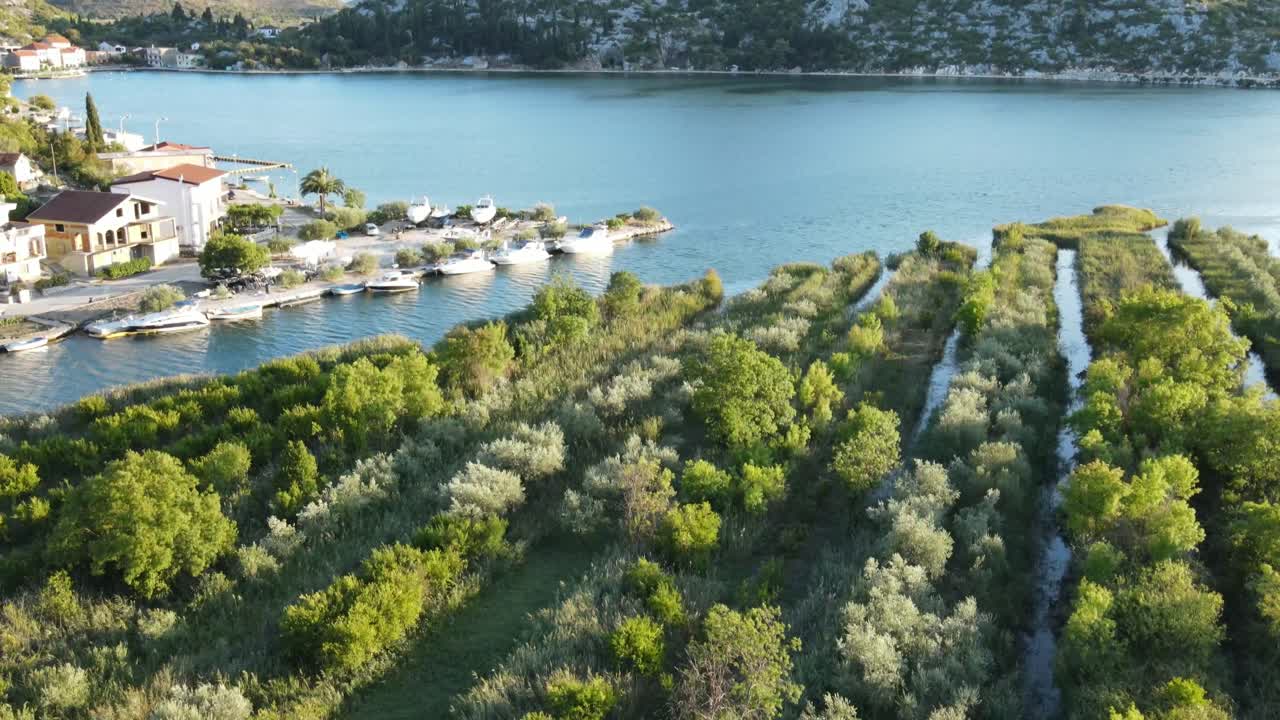 una filmación aérea hdr de árboles frutales y olivos que crecen en hileras en el delta del neretva, croacia del sur