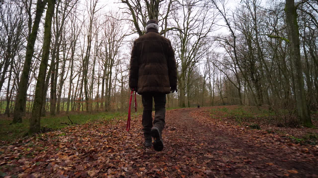 Uomo che Cammina da Solo in una Foresta Autunnale