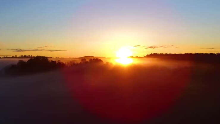 El amanecer sobre el bosque de niebla