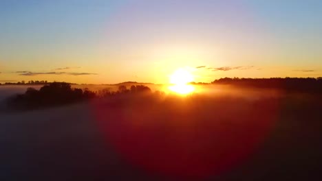 el amanecer sobre el bosque de niebla