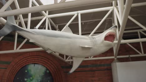 a hanging shark figure in an interactive park