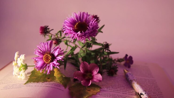 Primo piano di fiori e penna sul libro