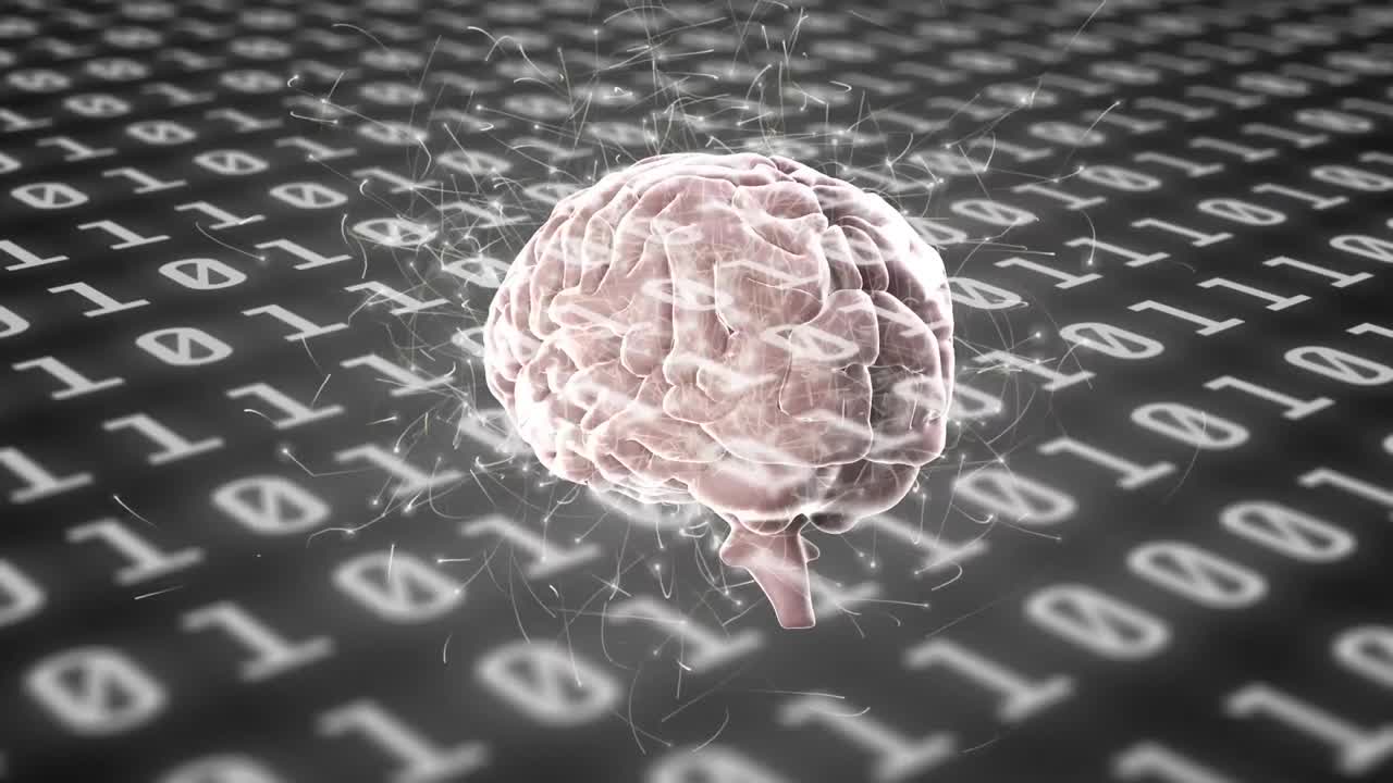 el cerebro humano gira contra el procesamiento de datos de codificación binaria en un fondo gris