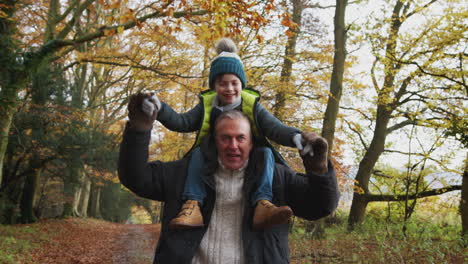 smiling grandfather carrying grandson on shoulders as they walk along path in autumn countryside