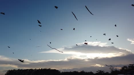 muchas cometas volando sobre el horizonte del atardecer de la playa de mertasari sanur bali indonesia
