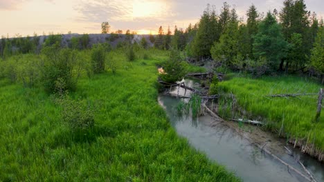 Aerial drone view of a calm forest stream reflecting the sky while winding through vibrant green grass and trees