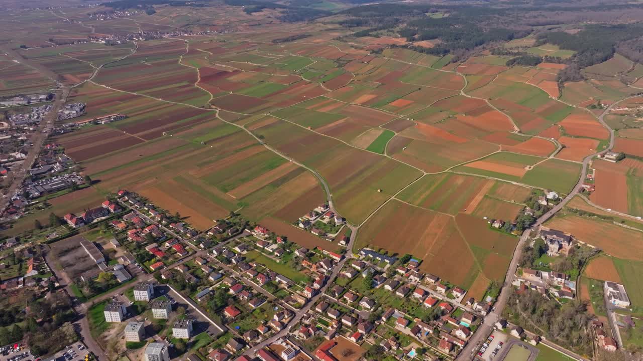 Filari di vigneti vicino a Beaune che si animano all'inizio della primavera