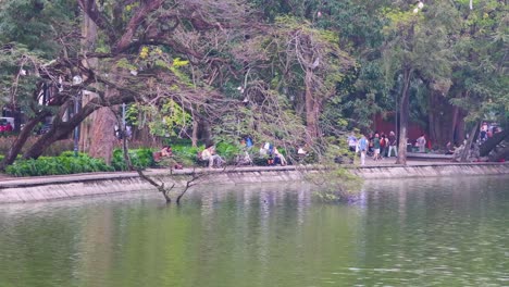 people enjoying a serene park setting