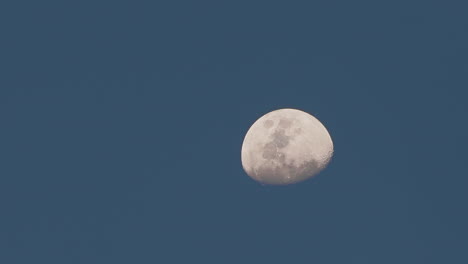 close up of the moon moving slowly, captured during the day with a clear blue sky, in 1080p