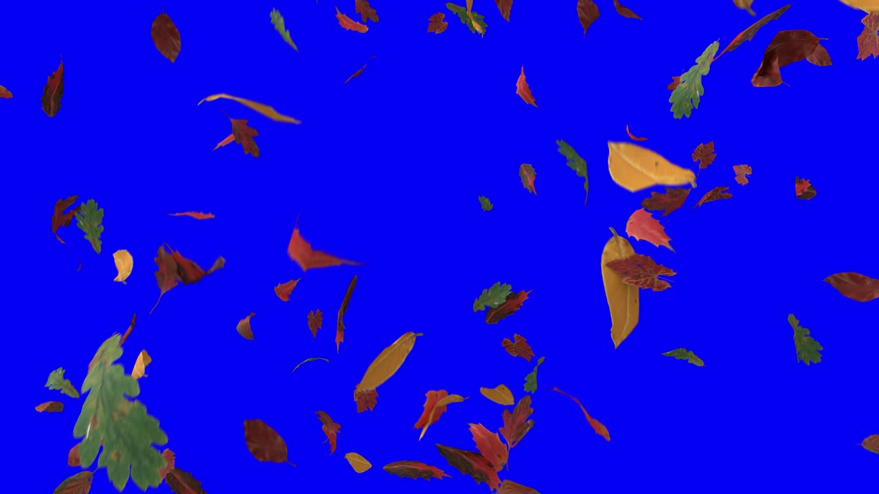 잎이 떨어지는 가을, 가을의 계절, 추수감사절, 나무, 잎 4k