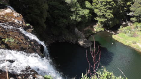 water falls over the edge of a tall cliff into the still calm hatea river below, whangarei falls, new zealand