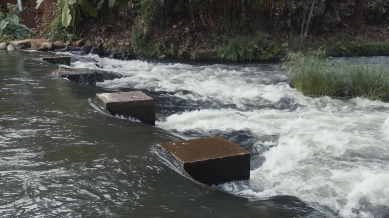 Río fluyendo en Kirinyaga, Kenia, África 2