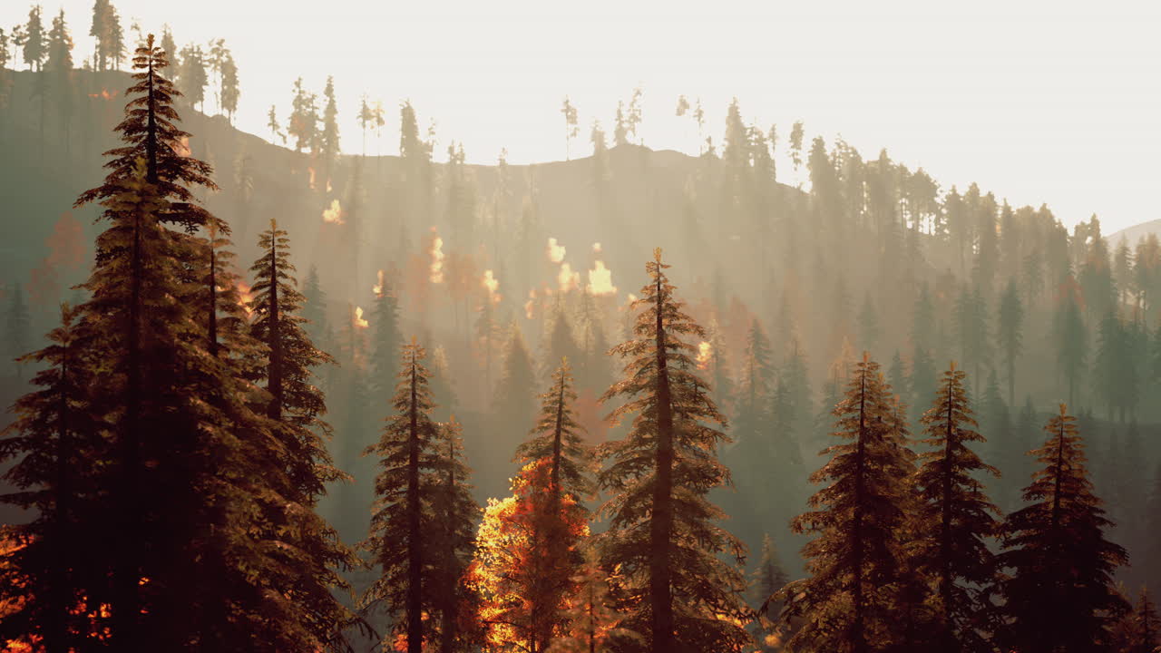 incendio forestal: árboles en llamas y humo llenan el aire