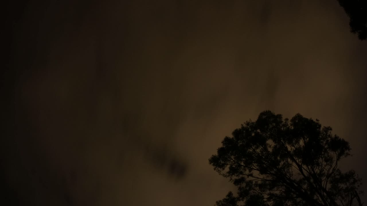las nubes se mueven rápidamente sobre un árbol contra un cielo estrellado