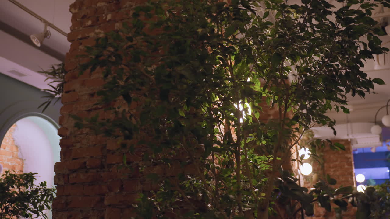 Well lit indoor space features vibrant green plants against rustic exposed brick wall. Soft artificial lighting highlights natural textures and architectural charm, creating warm, relaxing atmosphere