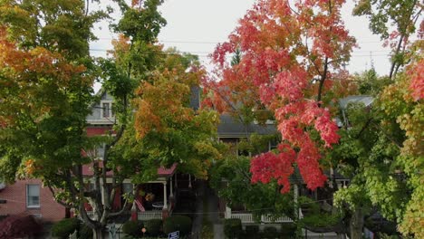 rising aerial reveals traditional homes during autumn