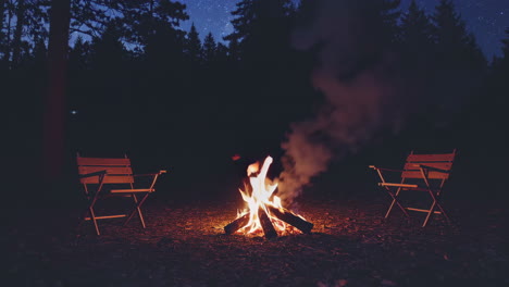 nighttime campfire in the forest