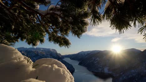 beautiful winter sunset over norway fjord mountain range through snowy fir tree