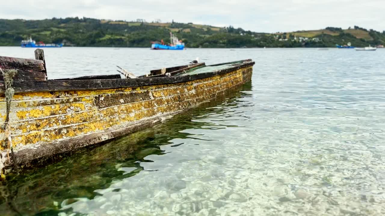 aguas cristalinas con conchas de caracol en la orilla de dalcahue, aguas tranquilas de chiloé, chile