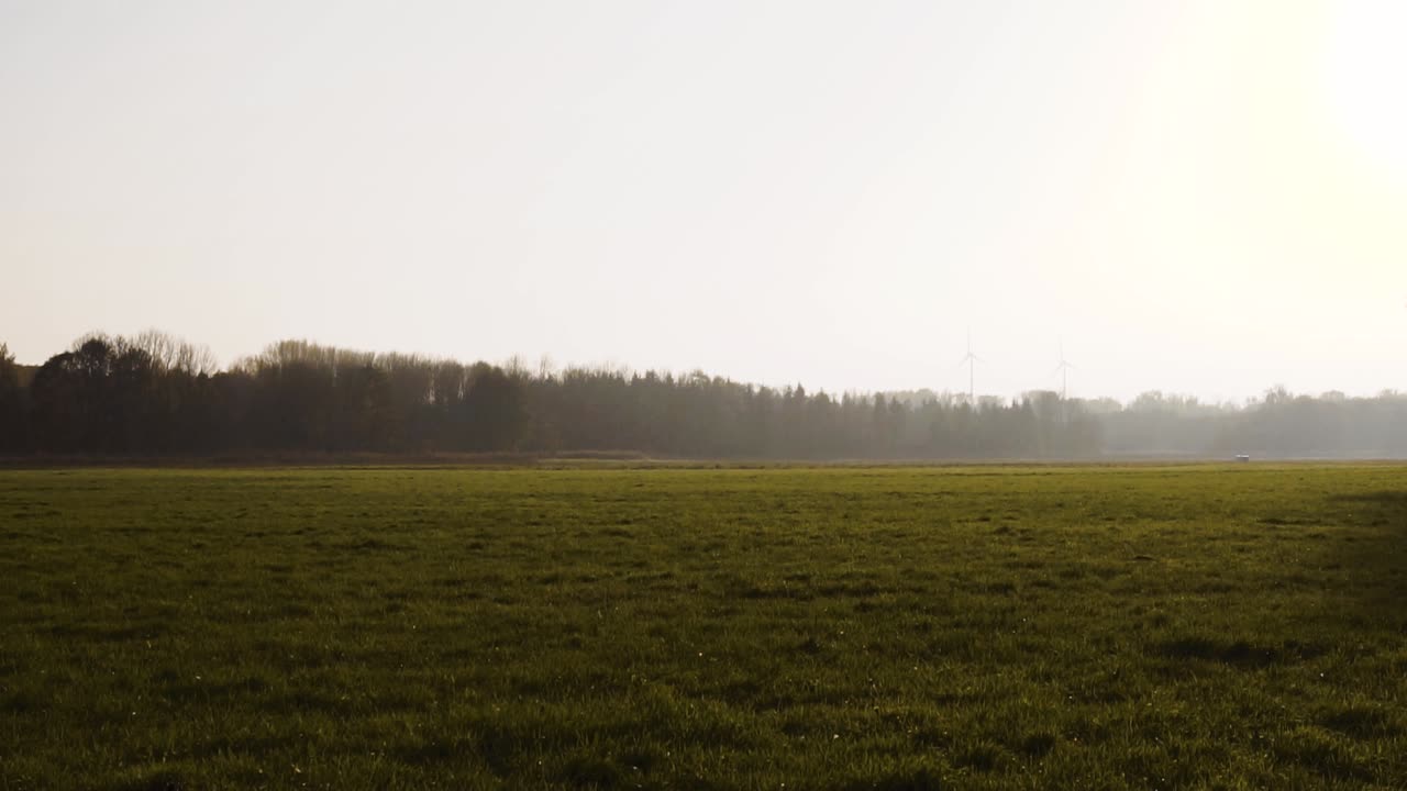 paisaje matutino de campo vacío con vistas a zonas de niebla en otoño