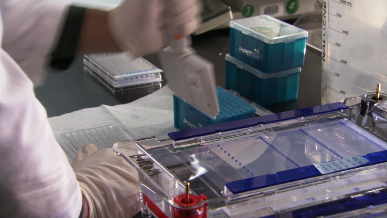 en el centro de secuenciación del genoma del gobierno de estados unidos se analiza el adn en el laboratorio 14