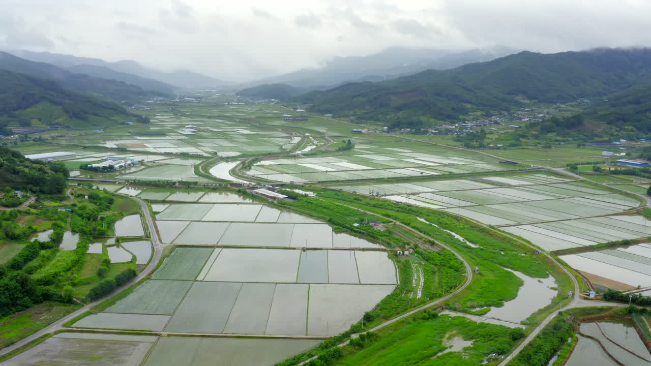 una amplia fotografía aérea de un campo de arroz con un fondo montañoso en corea del sur