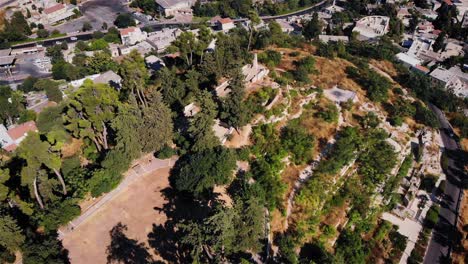 aerial view of a hillside park with ancient ruins bordering a city