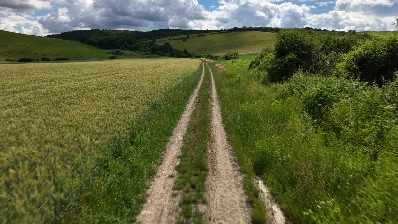 Un sentiero sterrato panoramico attraversa un campo di grano maturo nel paesaggio rurale dell'Ungheria sotto un cielo nuvoloso.