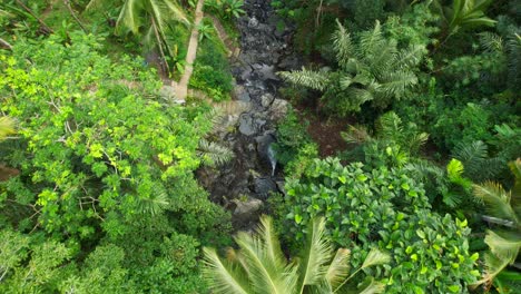 Schmale,-Kurvige-Betontreppe-Entlang-Des-Gembleng-Wasserfallbachs-Im-Sidemen-Dschungel-Regenwald,-Langsame-Überführungstreppe-Aus-Der-Luft-Und-Blick-Auf-Die-Palmenwipfel-Von-Oben