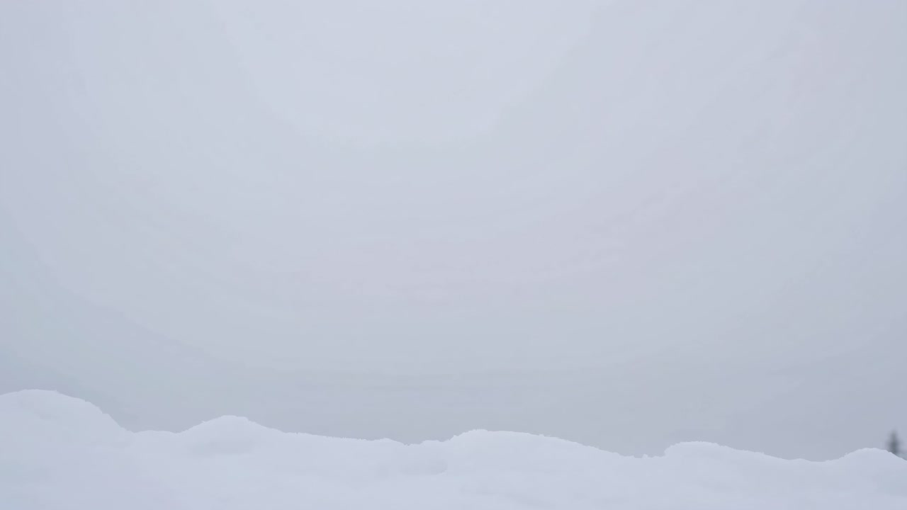 A serene winter landscape video captures a snowy forest horizon at eye level, emphasizing the calm