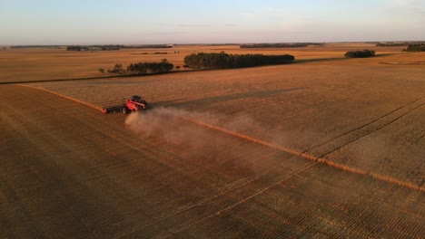 aerial drone view from above of a modern combine harvester reaping cereals at sunset in alberta, canada