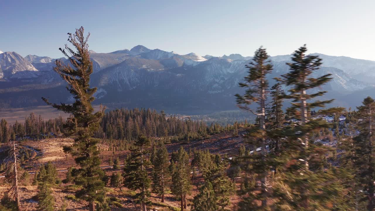 drone aéreo vuela a través de árboles en el bosque con montañas en lagos gigantescos california usa