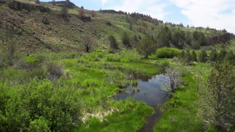 Willow-Creek-With-Greenery-And-Mountain-Landscape-In-Oregon,-USA