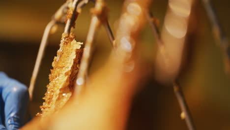 the beekeeper removes wax with a spatula