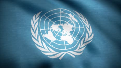 united nations flag