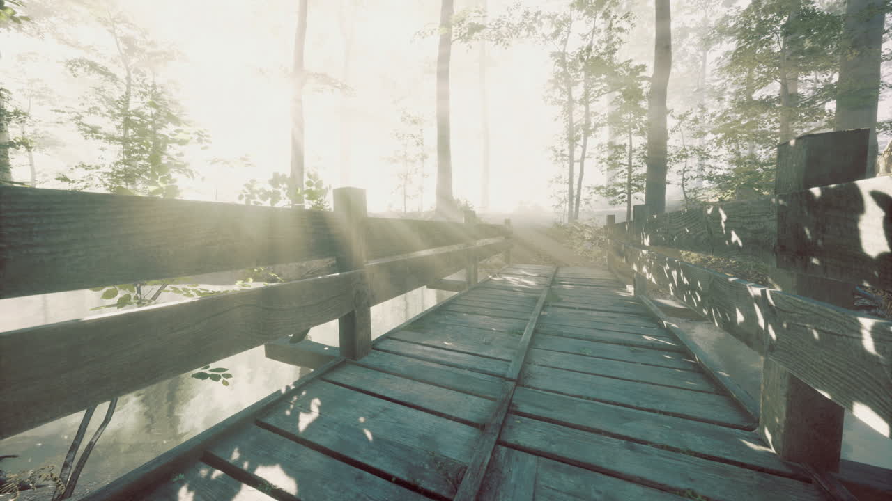 Tranquil pathway through foggy forest bathed in soft morning light
