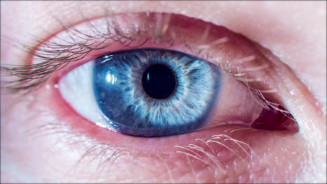 close-up of a blue eye