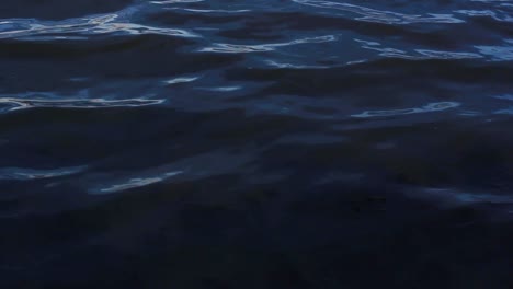 quiet evening next to a blue water bay; dark, calm and cool water radiates. feeling on loneliness and calmness; ripples reflect greay light. sun has set. footage in hd