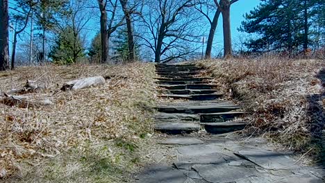 Escaleras-En-El-Bosque-Con-Una-Suave-Brisa-Primaveral,-Estática