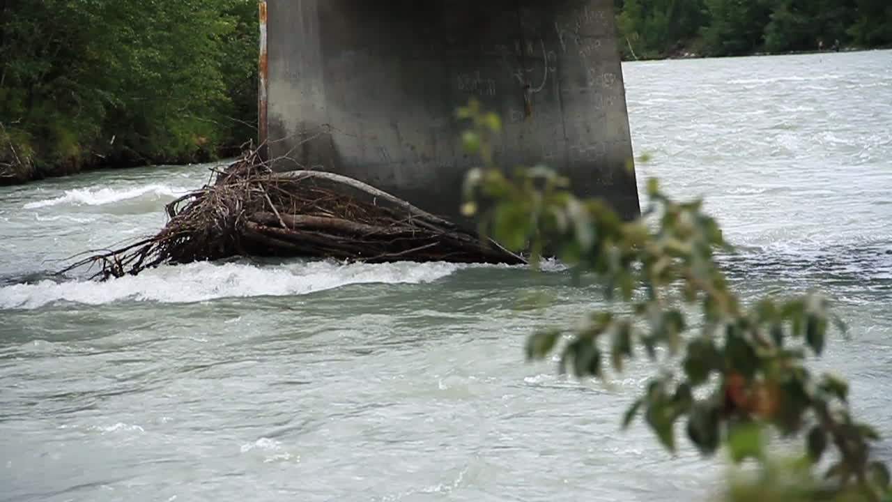 White Rapids Crash Against Bridge with Branches
