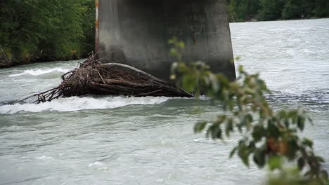 White-Rapids-Crash-Against-Bridge-with-Branches