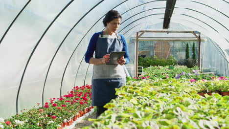 mature woman working in garden center greenhouse holding digital tablet and checking plants