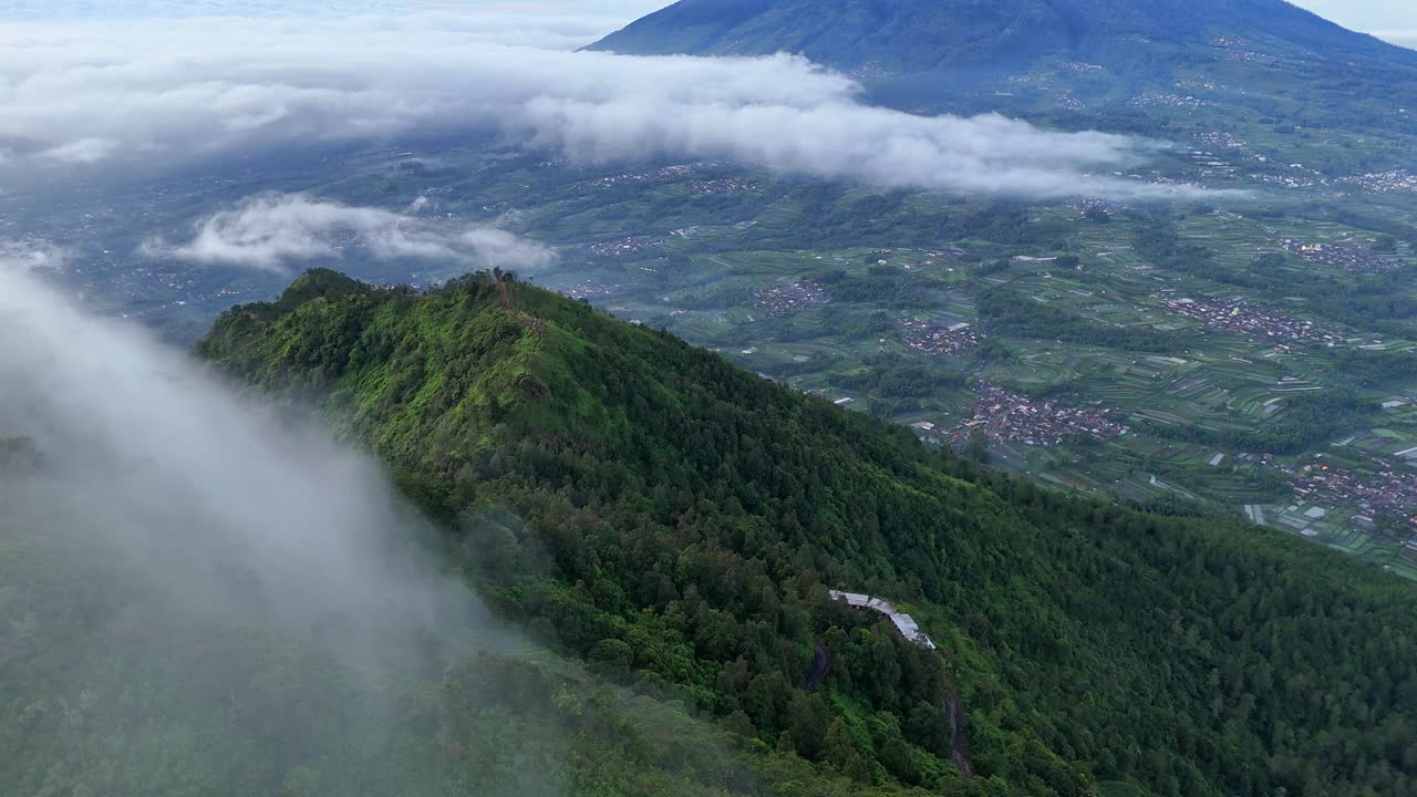 Aerial view of mountain forest landscape with dense evergreen trees shrouded by mist. Mt Telomoyo, Indonesia.
