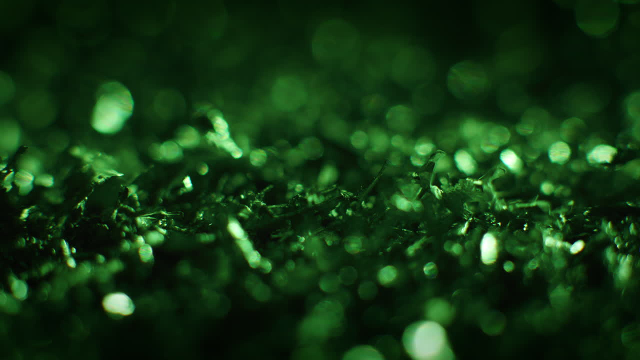 Emerald color metal fillings in macro