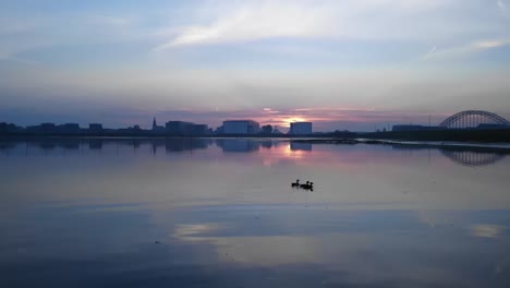 birds swimming and flying over beautiful calm lake in the twilight